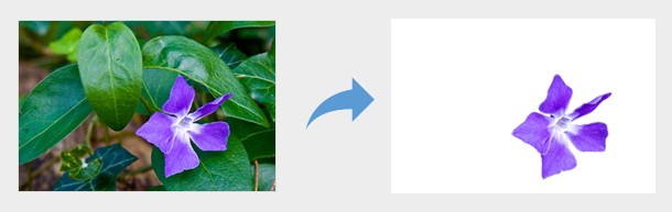 Microsoft PowerPoint 2019 có tính năng xóa nền ảnh