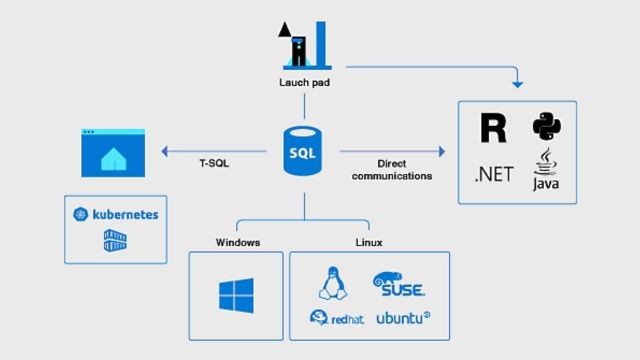 Sức mạnh từ Microsoft SQL Server 2019
