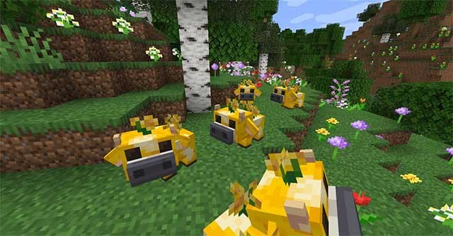 Người chơi có thể mang chúng về nhà làm bạn đồng hành hoặc thú cưng