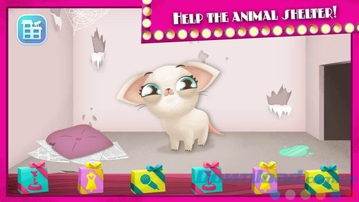 Chăm sóc thú cưng vô gia cư