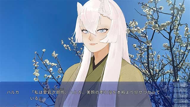 Game lấy bối cảnh một lãnh thổ tự trị được gọi là Land of the Tengu