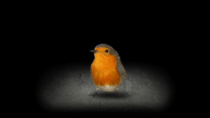 Mitoza là một game lựa chọn với các hiệu ứng thú vị