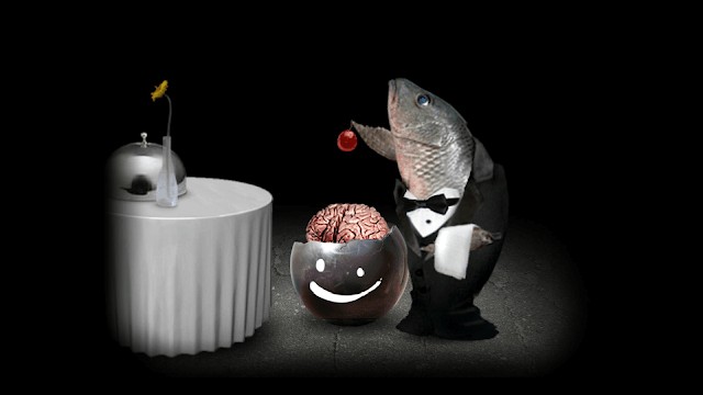 Lựa chọn và xem các kết quả