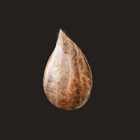 Mitoza cho Android: Trải nghiệm phiêu lưu siêu thực