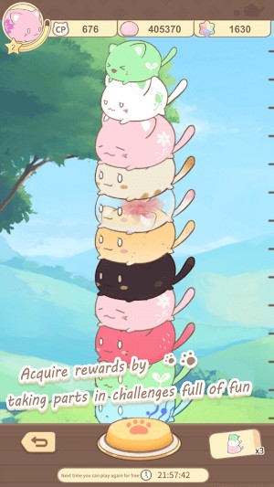 Thu thập và xếp chồng mèo thật cao