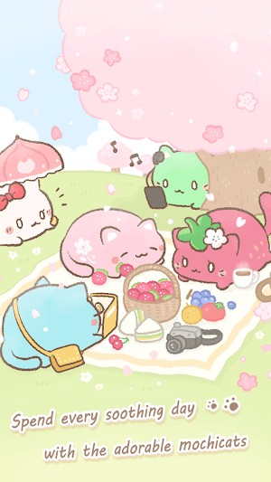 Tận hưởng thư giãn và niềm vui khi chơi cùng mèo