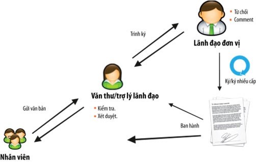 Quy trình hoạt động của