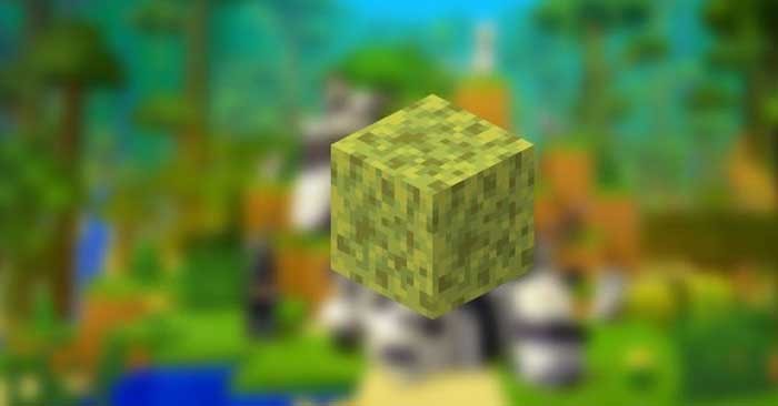 Bọt Biển Trong Minecraft: Hướng Dẫn Chi Tiết