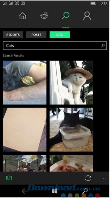 Nhiều hình ảnh động thú vị