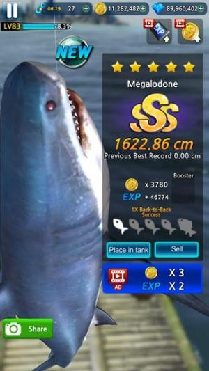 Đánh bắt những cón cá lớn