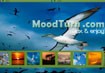 Moodturn - Biến trình duyệt web thành Screensaver bốn mùa