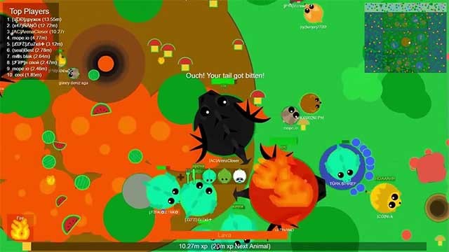 Mope.io là game io phong cách sinh tồn vui nhộn có giống cá lớn nuốt cá bé