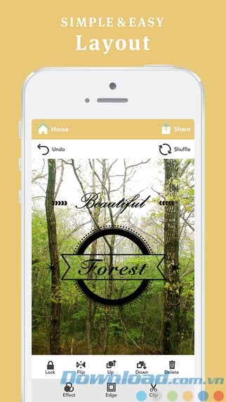 Bố cục ghép ảnh đơn giản