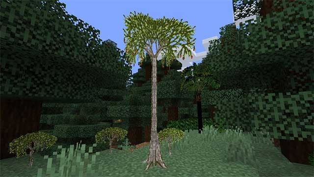 Mod More Plants bổ sung tất cả 9 loại cây mới vào Minecraft