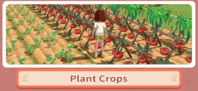 Trồng các loại cây khác nhau