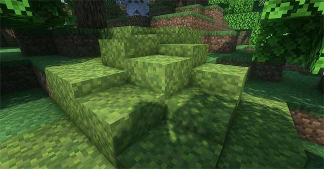 Các khối sẽ bị rêu (Moss) bao phủ nếu không được tác động trong một thời gian dài