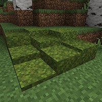 Moss Layers Mod Minecraft: Thêm Khối Phủ Rêu Đẹp Mắt