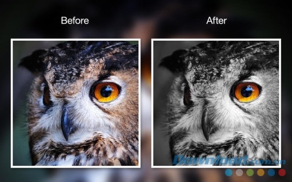 Phần mềm chỉnh sửa ảnh đen trắng chuyên nghiệp Movavi Photo Noir cho Mac