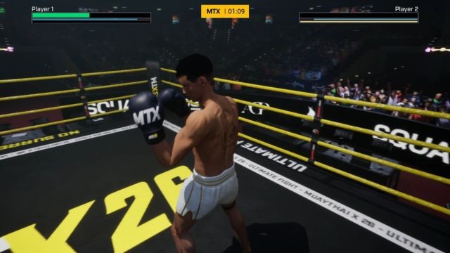 Kết hợp những đòn Muay Thai cơ bản với kỹ năng cá nhân và chiến lược