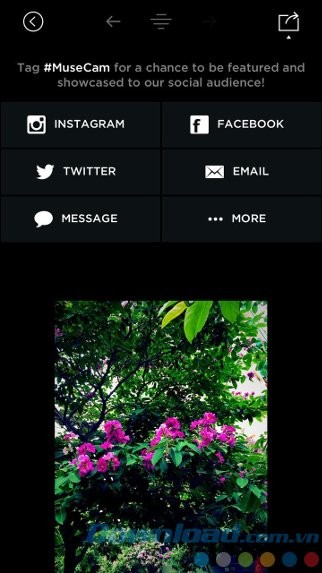 Chia sẻ ảnh trên SNS