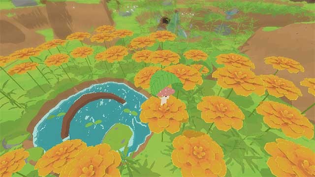 Chạy, bơi, leo trèo để khám phá bốn khu vực độc đáo trong rừng