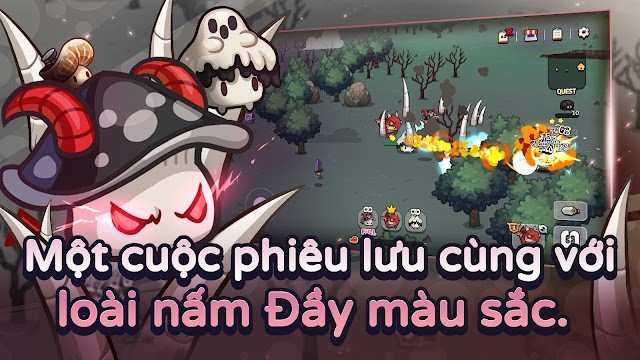 Chơi cùng các cây nấm đầy màu sắc