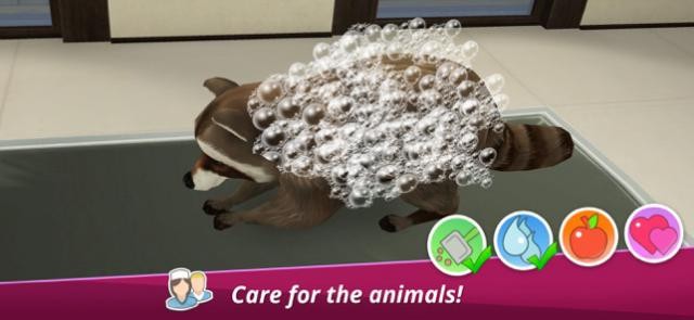 Chăm sóc các con thú để chúng khỏe mạnh và vui vẻ