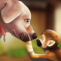 My Animal Hospital cho iOS 2.3 - Game Mô Phỏng Bệnh Viện Thú Y