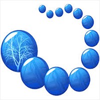 My Family Tree - Phần mềm tạo cây gia phả gia đình