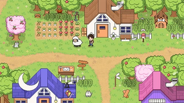 Tham gia các hoạt động cộng đồng và sự kiện hấp dẫn khác