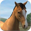 My Horse for Android - Game Chăm Sóc Ngựa