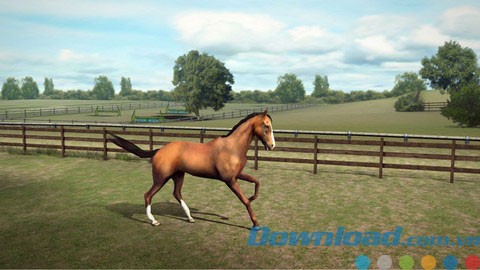 My Horse for iOS