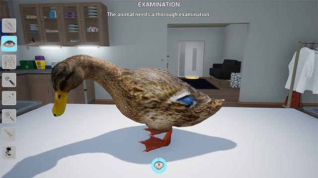 Khám bệnh cho các loài vật ở phòng khám của bạn hoặc tại chuồng trại