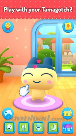 Chăm sóc thú cưng