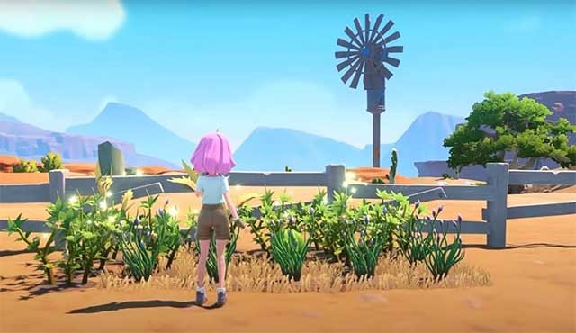 Không bỏ lỡ bất cứ điều gì làm lãng phí một ngày của bạn