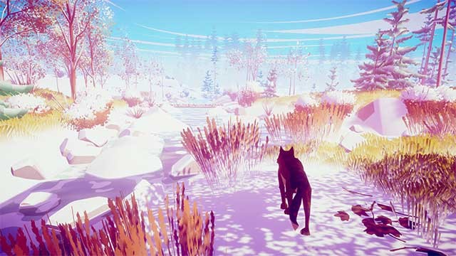 Khi lớn lên, con sói của bạn sẽ tự lập hơn