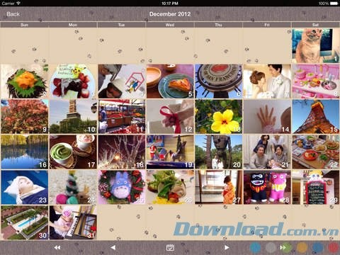 Tổ chức ảnh trên lịch