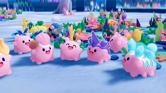 Chỉ huy các Namako đáng yêu dọn sạch đại dương ô nhiễm