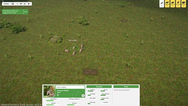 Natural Instincts tái hiện cuộc chiến sinh tồn của các loài vật trong khu rừng châu Âu