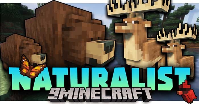 Naturalist Mod là bản Mod chủ đề thế giới động vật sống động cho Minecraft