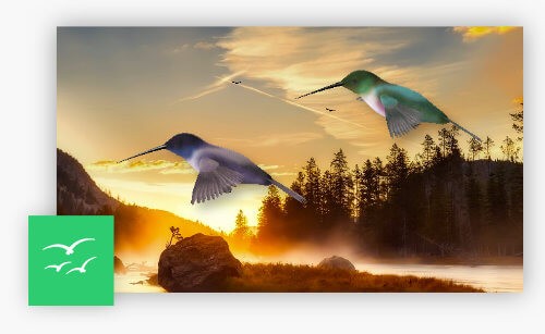 Nature Illusion Studio bổ sung đối tượng chuyển động