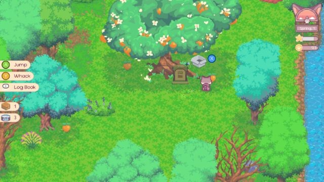 Cảm nhận sự ấm áp và niềm vui trong trại mèo Neko House