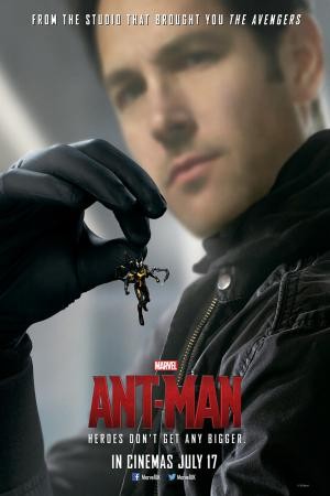 mini Ant Man 15