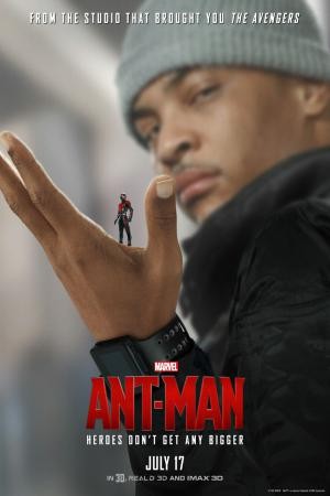 mini Ant Man 21