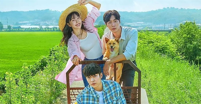 Poster phim Nhật ký mối tình điền viên