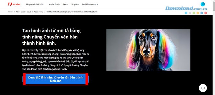 Adobe Firefly: Hướng dẫn sử dụng và những điều cần biết