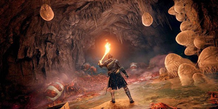 Elden Ring: Hướng dẫn những việc cần làm sau khi hoàn thành game