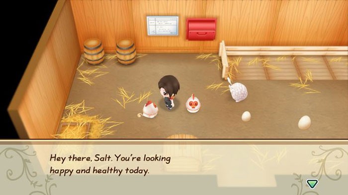 Mẹo Chơi Story of Seasons: Friends of Mineral Town - Hướng Dẫn Chi Tiết