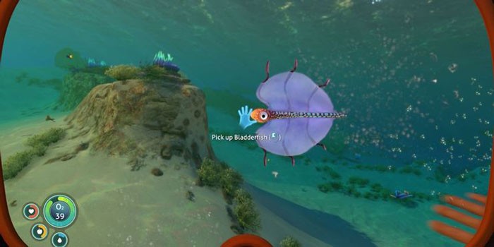 Cá sẽ bị hỏng sau một thời gian ngắn, vì vậy người chơi không nên nấu quá nhiều