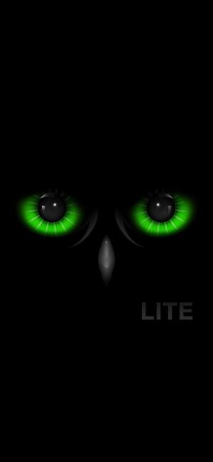 Night Eyes giống như đôi mắt cú mèo trong đêm